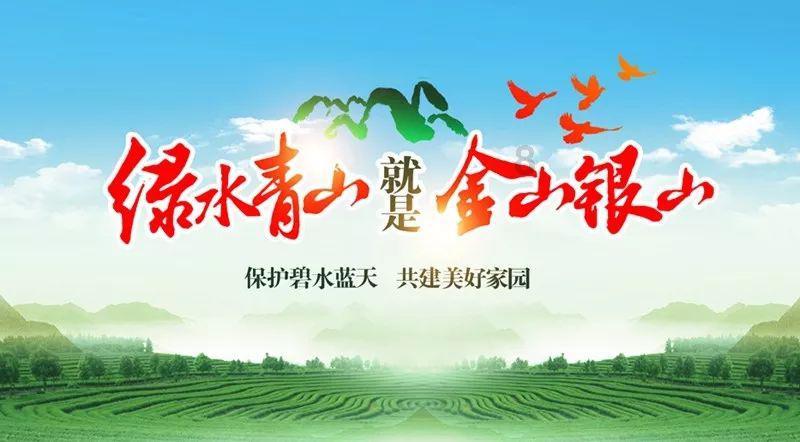 救援非洲金猫